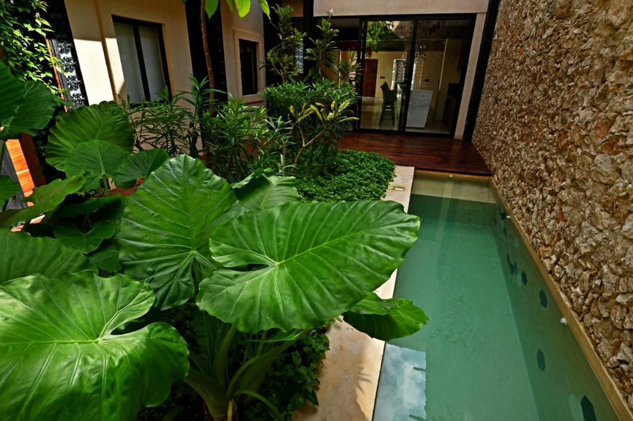 Bed and breakfast Casa Boutique Pasha