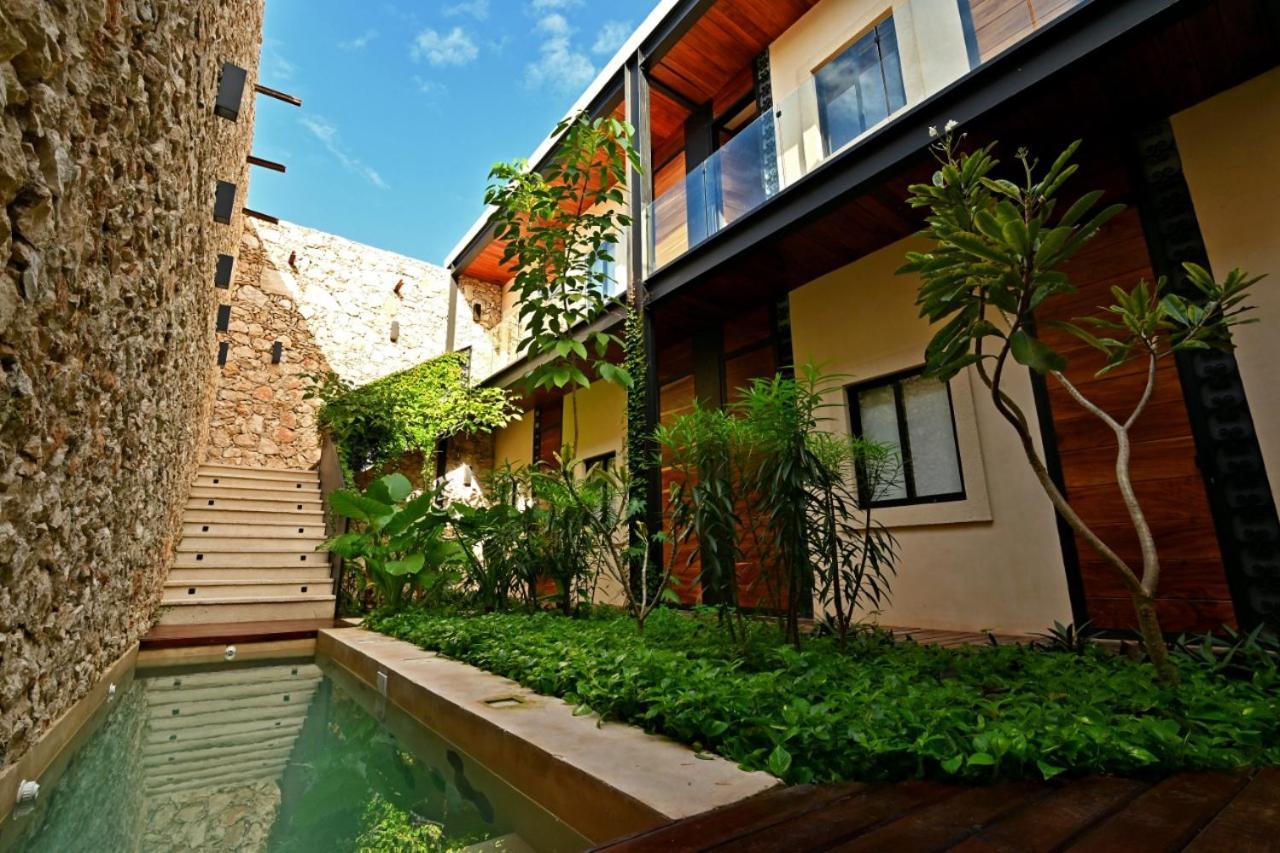 Bed and breakfast Casa Boutique Pasha *